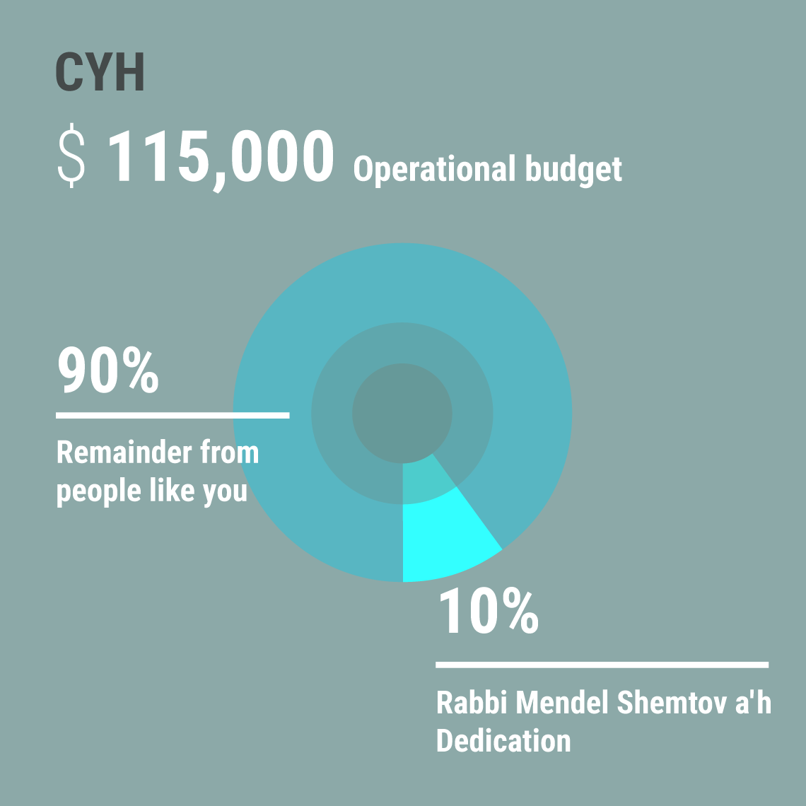 Infographics Connecting Yaldei Hashluchim